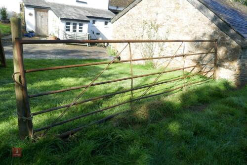 15' METAL GATE