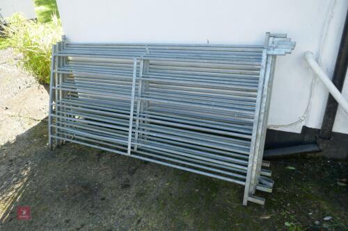 6 GALVANISED 6' SHEEP HURDLES