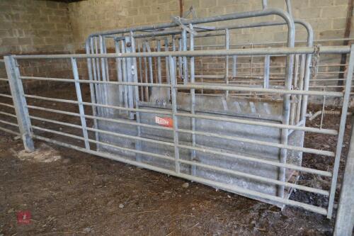 IAE 12' GALVANISED YARD GATE