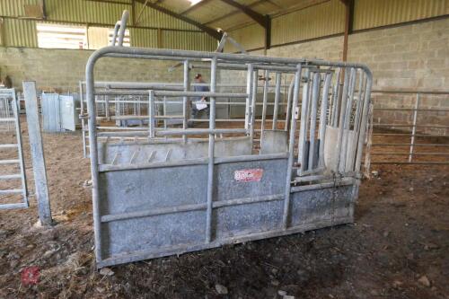 BATEMAN GALVANISED CATTLE CRUSH