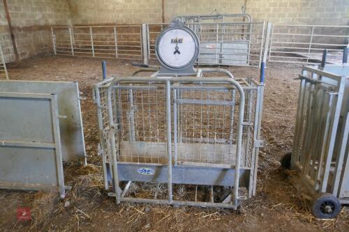 IAE LAMB WEIGH CRATE