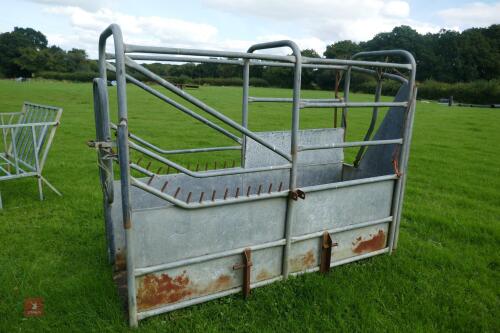 GALVANISED CATTLE CRUSH