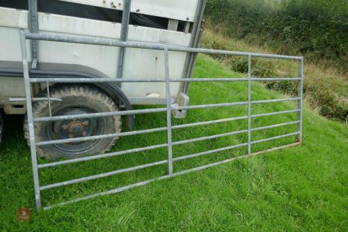 GALVANISED 10' FIELD GATE