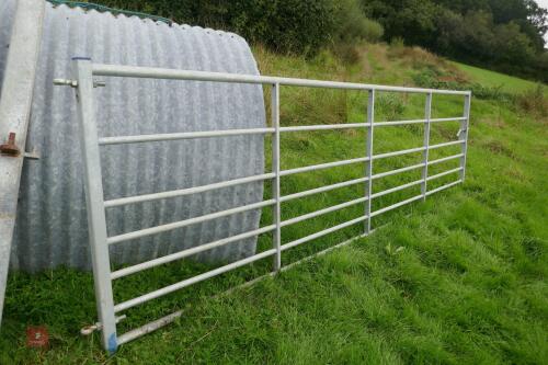 IAE 13' YARD GATE