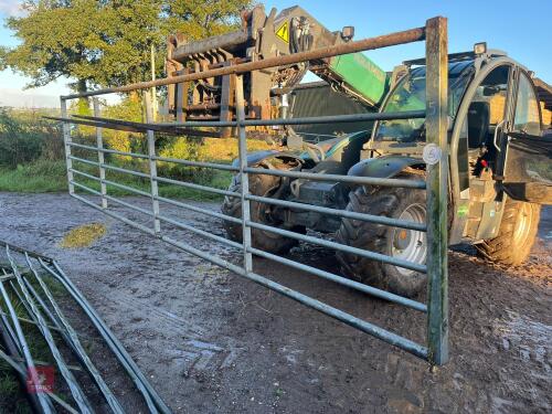 15' GALVANISED FIELD GATE (5)
