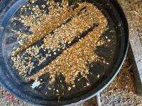 FEEDMASTER M40 GRAIN CRUSHER - 7