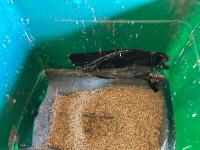 FEEDMASTER M40 GRAIN CRUSHER - 9