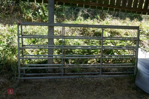 2 IAE 10' CATTLE HURDLES
