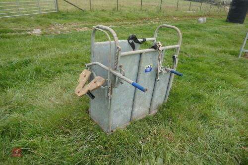 IAE GALVANISED CALF DE-HORNING CRATE