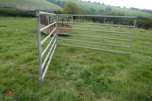 2 IAE 10' CATTLE HURDLES
