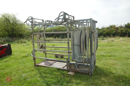 IAE GALVANISED CATTLE CRUSH