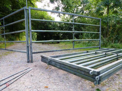 CATTLE HANDING EQUIPMENT