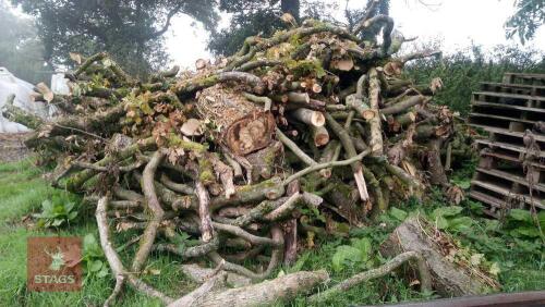 LENGTHS OF LOGS