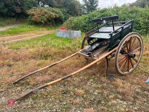 W GEORGE PONY TRAP (137)