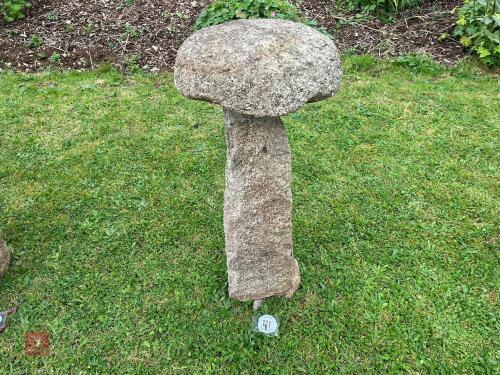 GRANITE STADDLE STONE (121)