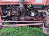 MASSEY FERGUSON 35.3 2WD TRACTOR - 2