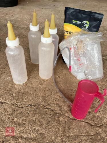 6 LAMB BOTTLES