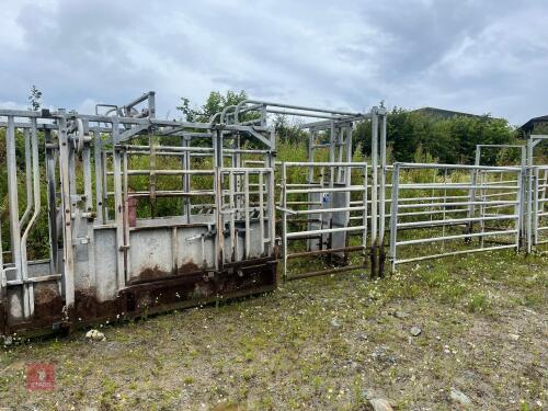 IAE CATTLE CRUSH & RACE SYSTEM