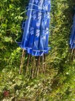 10 BLUE ELECTRIC FENCING STAKES - 2