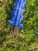 10 BLUE ELECTRIC FENCING STAKES - 2