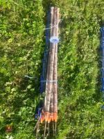 10 MIXED ELECTRIC FENCING STAKES - 3