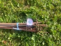 10 ELECTRIC FENCING STAKES - 3
