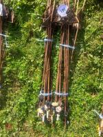 20 METAL ELECTRIC FENCING STAKES - 4