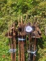 30 METAL ELECTRIC FENCING STAKES - 4