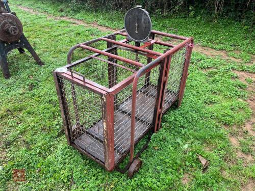 'WAYMASTER' SHEEP WEIGH CRATE