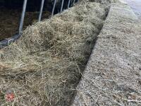50 SQUARE BALES OF HAYLAGE BIDS PER BALE - 5