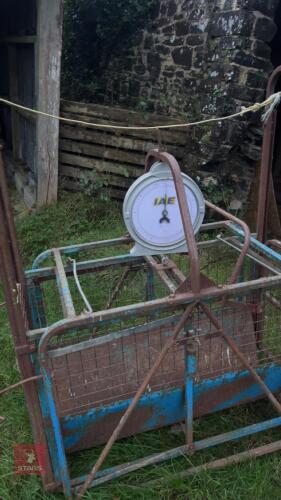 LAMB WEIGH CRATE