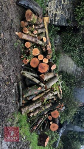VARIETY OF SEASONED & UNSEASONED LOGS