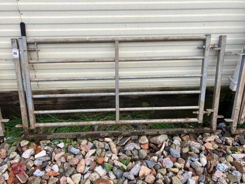 1.9M BATEMAN GATED HURDLE (85)