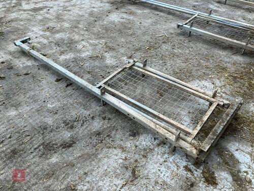 GALV SHEEP RACE GUILLOTINE GATE (102)