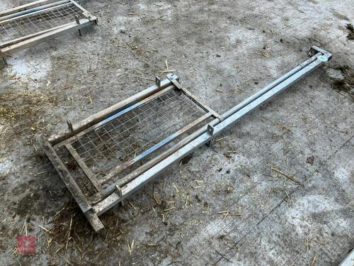 GALV SHEEP RACE GUILLOTINE GATE (103)