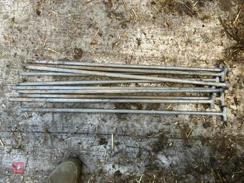 10 HD GALVANISED DROP PINS (105)