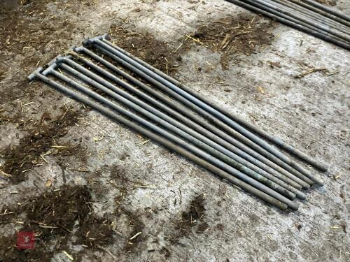 10 HD GALVANISED DROP PINS (107)