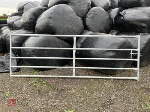 11' GALVANISED YARD GATE (162)