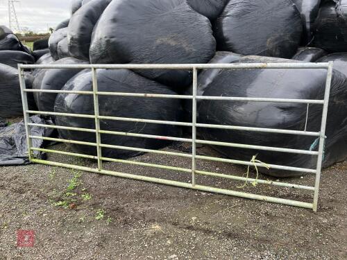 10' GALVANISED FIELD GATE (164)