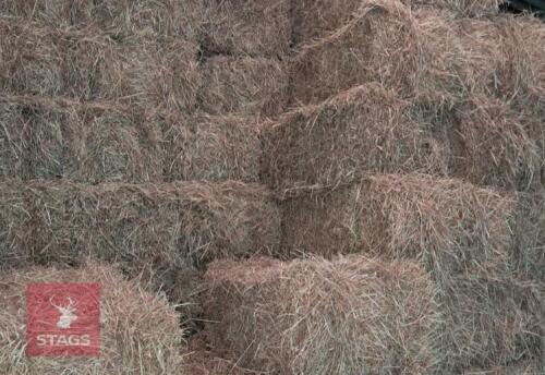 100 CONVENTIONAL OF 2024 HAY BIDS FOR THE GROUP