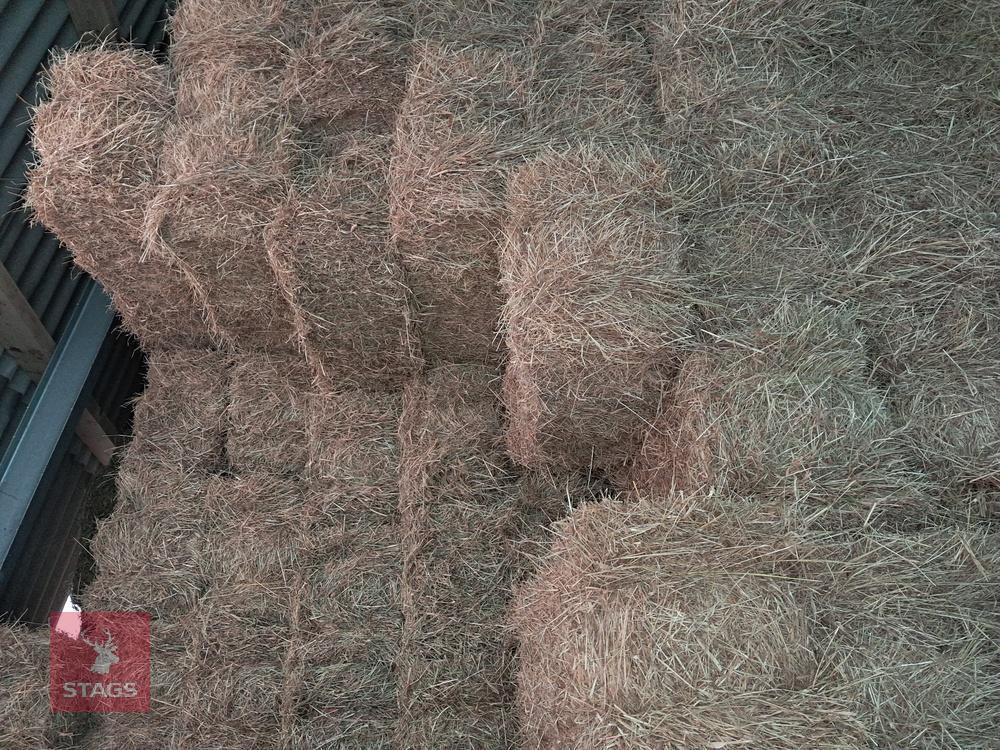 100 CONVENTIONAL OF 2024 HAY BIDS FOR THE GROUP