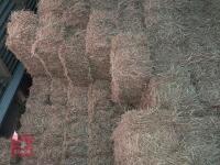 100 CONVENTIONAL OF 2024 HAY BIDS FOR THE GROUP