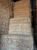 20 QUADRANT BALES OF BARLEY STRAW BIDS PER BALE - 3