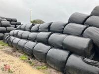 100 ROUND BALES OF 2023 SILAGE BIDS PER BALE - 2