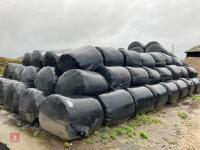 100 ROUND BALES OF 2023 SILAGE BIDS PER BALE - 3