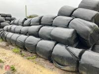 100 ROUND BALES OF 2023 SILAGE BIDS PER BALE - 4