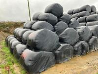 60 ROUND BALES OF 2023 SILAGE BIDS PER BALE - 3