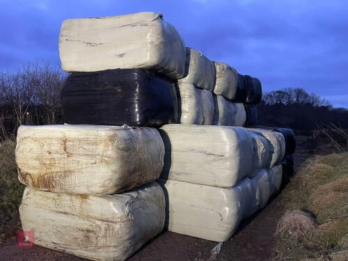 32 BALES OF 2023 HAY BIDS PER BALE BIDS PER BALE