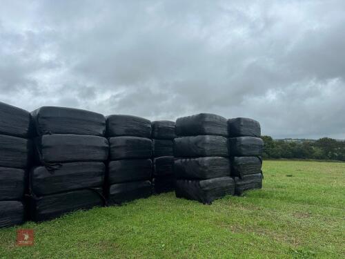 25 SQUARE BALES OF WHOLECROP SILAGE BIDS PER BALE