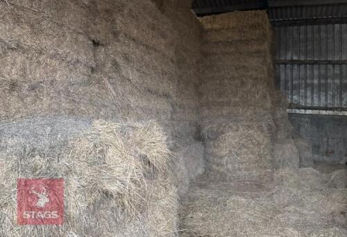 40 QUADRANT BALES OF 2024 MEADOW HAY BIDS PER BALE